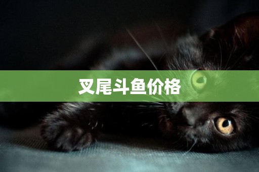 叉尾斗魚價格