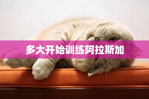多大開始訓練阿拉斯加