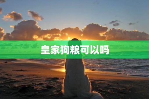 皇家狗糧可以嗎