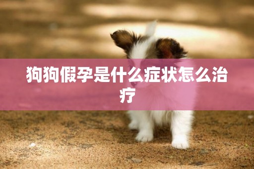 狗狗假孕是什么癥狀怎么治療