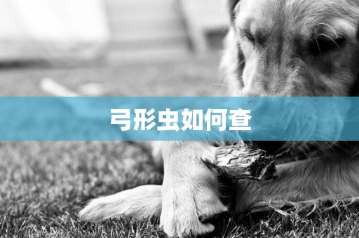 弓形蟲如何查