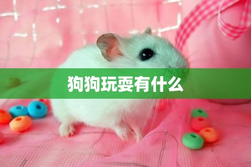 狗狗玩耍有什么