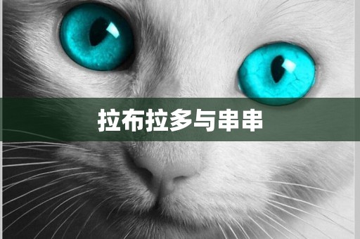 拉布拉多與串串