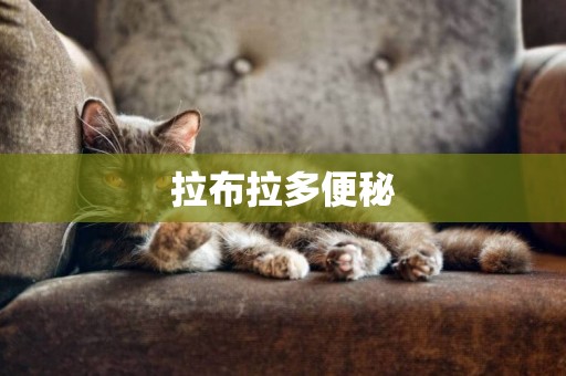 拉布拉多便秘