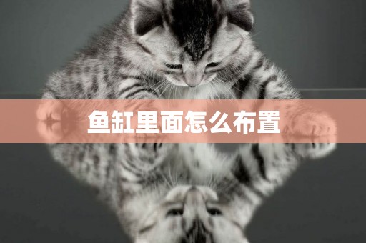 魚缸里面怎么布置