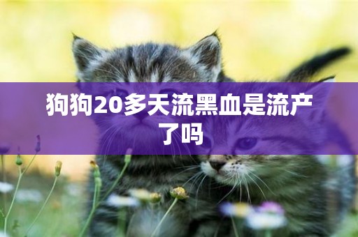 狗狗20多天流黑血是流產了嗎