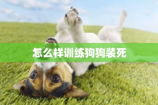 怎么樣訓練狗狗裝死