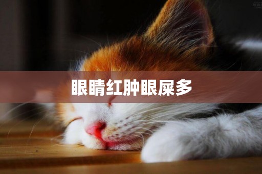 眼睛紅腫眼屎多