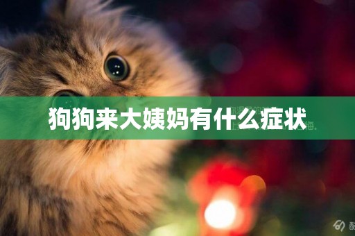 狗狗來大姨媽有什么癥狀