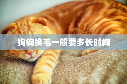 狗狗換毛一般要多長時間