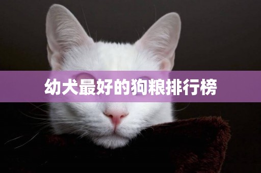 幼犬最好的狗糧排行榜