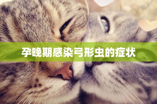 孕晚期感染弓形蟲的癥狀