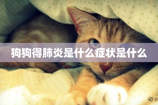 狗狗得肺炎是什么癥狀是什么