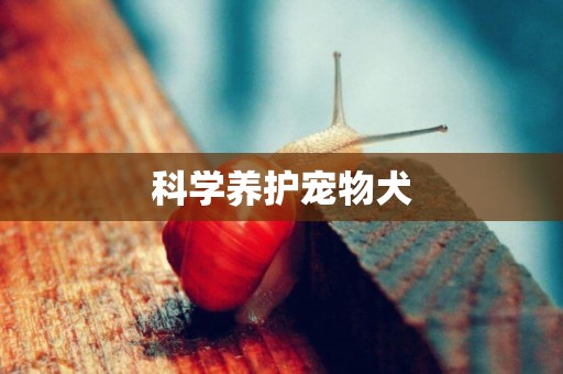 科學養護寵物犬