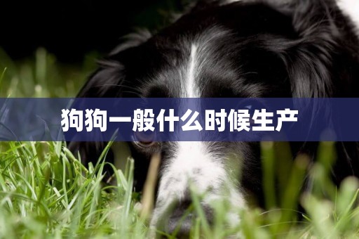 狗狗一般什么時候生產
