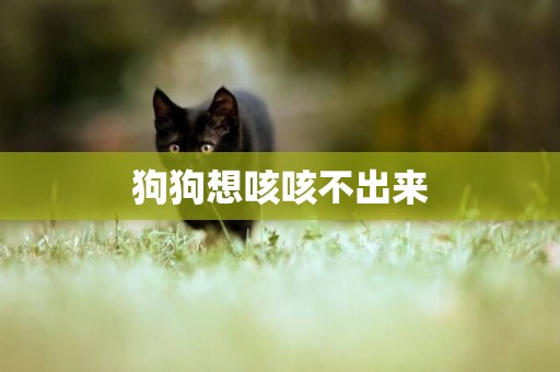 狗狗想咳咳不出來