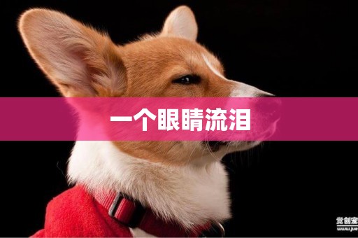 一個眼睛流淚
