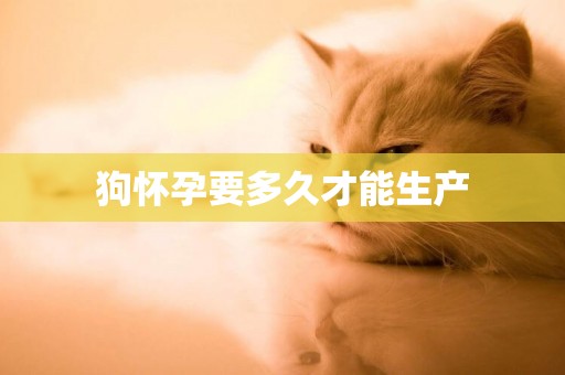 狗懷孕要多久才能生產