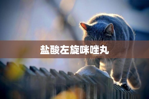 鹽酸左旋咪唑丸