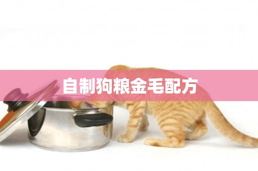 自制狗糧金毛配方
