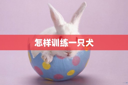 怎樣訓練一只犬