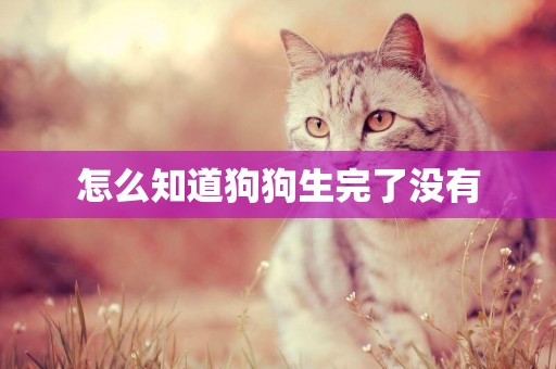 怎么知道狗狗生完了沒有