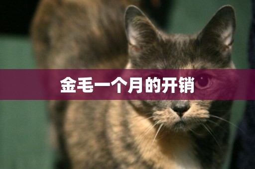 金毛一個月的開銷