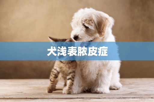 犬淺表膿皮癥