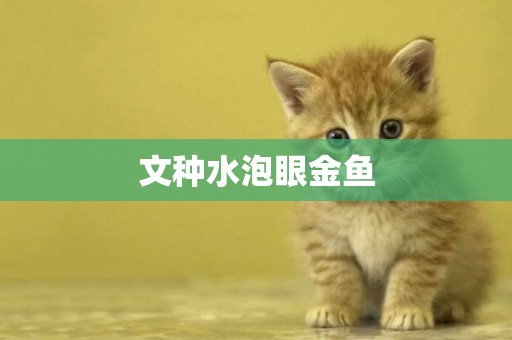 文種水泡眼金魚