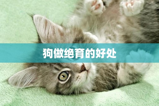 狗做絕育的好處