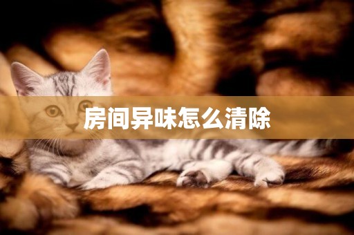 房間異味怎么清除