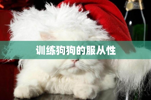 訓練狗狗的服從性