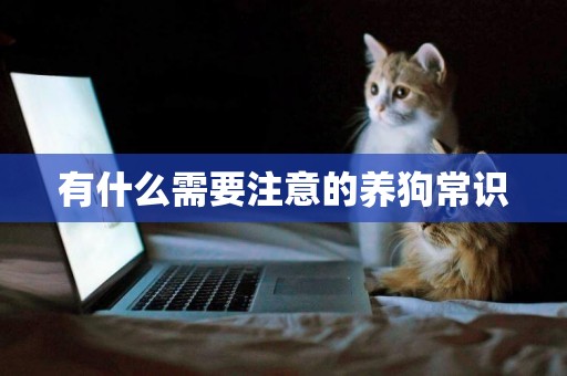 有什么需要注意的養狗常識