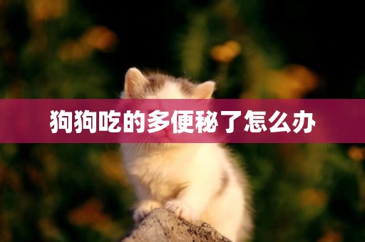 狗狗吃的多便秘了怎么辦