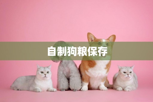 自制狗糧保存
