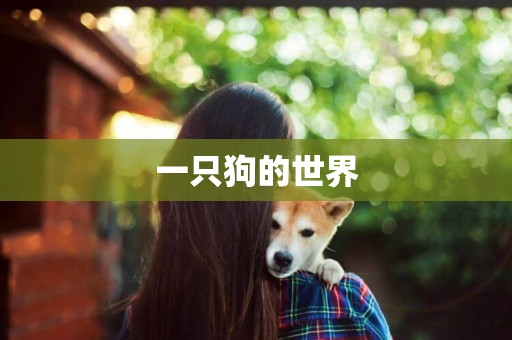 一只狗的世界