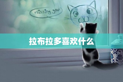 拉布拉多喜歡什么