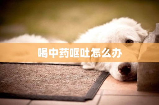 喝中藥嘔吐怎么辦