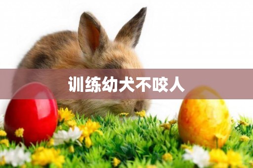 訓練幼犬不咬人