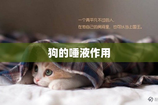 狗的唾液作用
