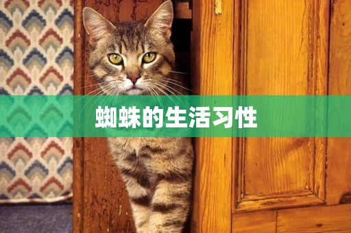 蜘蛛的生活習性