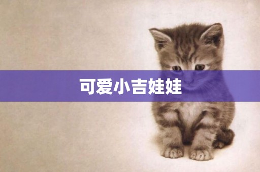 可愛小吉娃娃