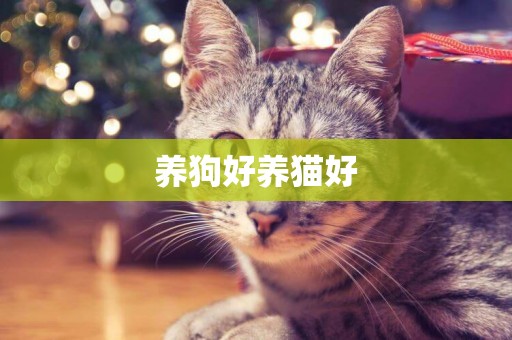 養狗好養貓好