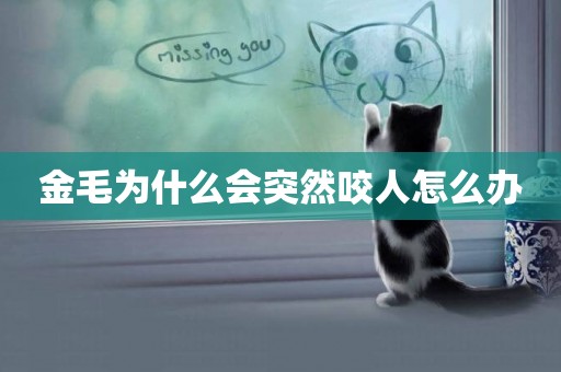 金毛為什么會突然咬人怎么辦
