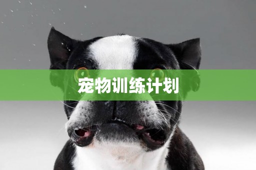 寵物訓練計劃