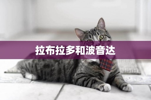 拉布拉多和波音達