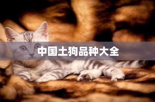 中國土狗品種大全