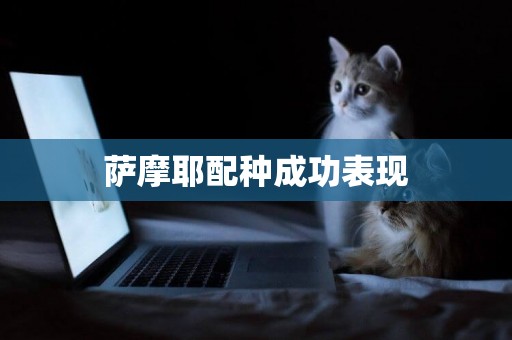 薩摩耶配種成功表現