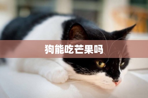 狗能吃芒果嗎