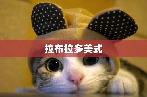 拉布拉多美式